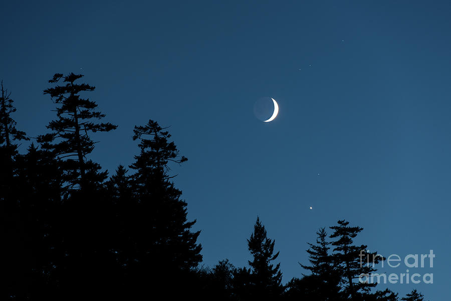 Moon Rising Photograph by Nicki McManus