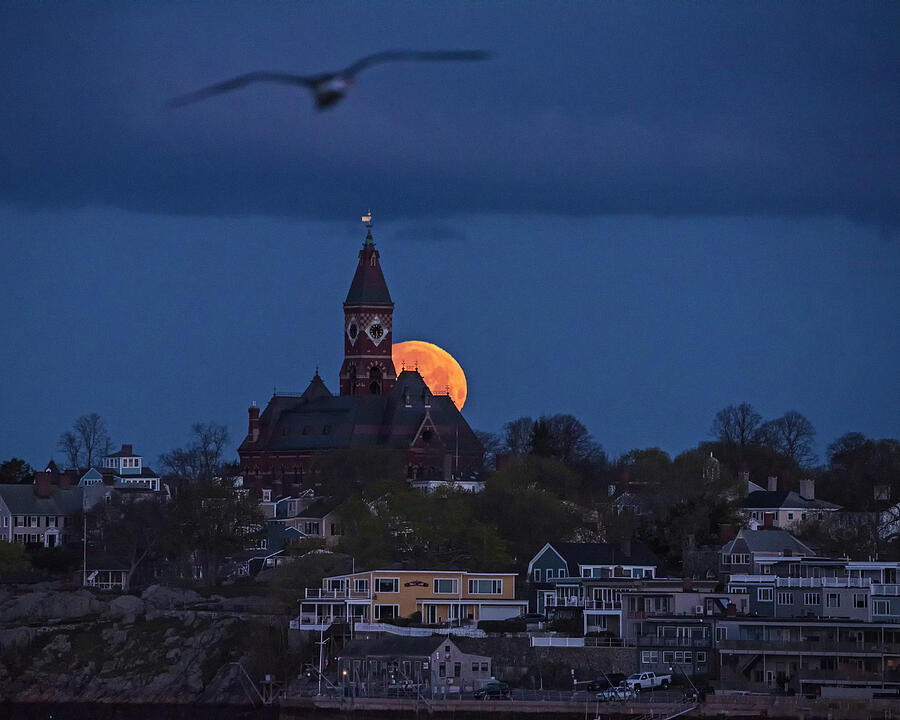 Moon rising over Abbott Hall in Marblehead Massachusetts Seagull Photograph by Toby McGuire Moon rising over Abbott Hall in Marblehead Massachusetts Seagull Photograph by Toby McGuire