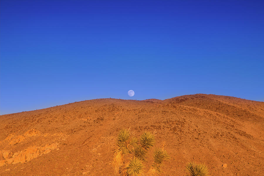Moon rising over the Mojave Desert Photograph by Kunal Mehra