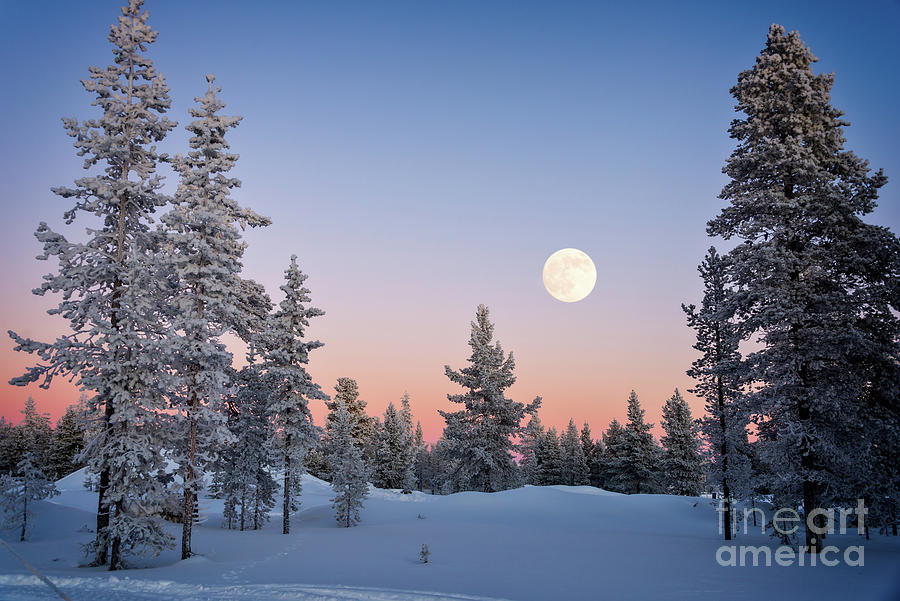 Moon rising, winter landscape Photograph by Delphimages Photo Creations