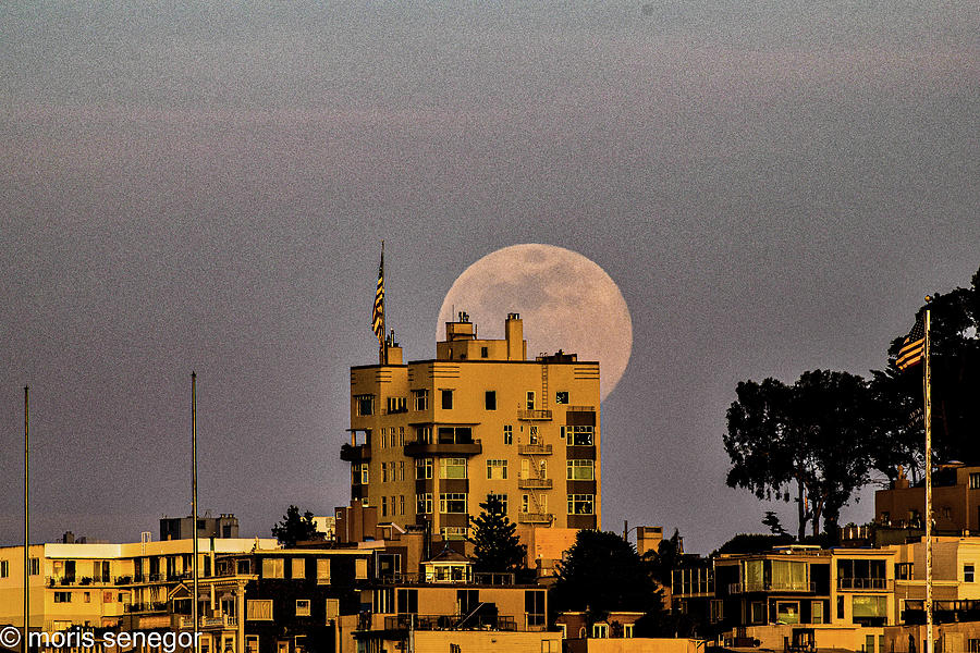 Moon Rkise, Telegraph Hill, San Francisco Photograph by Moris Senegor