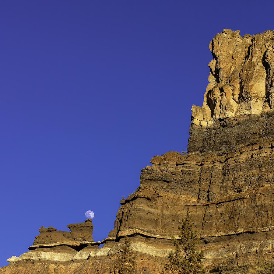 Moon Rocks Photograph by Tim Lyden - Fine Art America