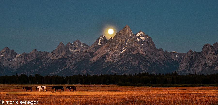 Moon Set, Grand Tetons, Wyoming Photograph by Moris Senegor