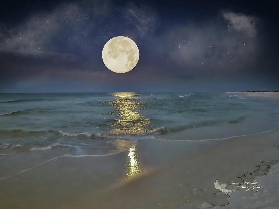 Moon Set in the Gulf of Mexico Photograph by Denise Winship