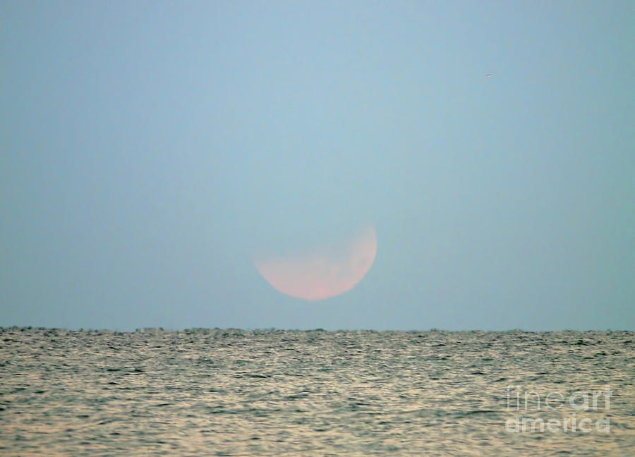 Moon Setting Into The Gulf Photograph by D Hackett