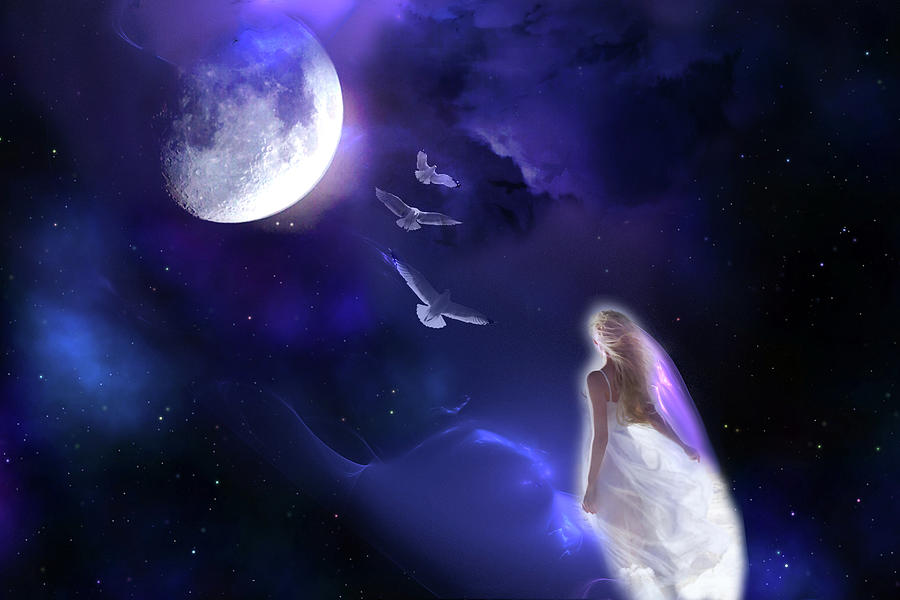Moon Song Digital Art by Lisa Yount