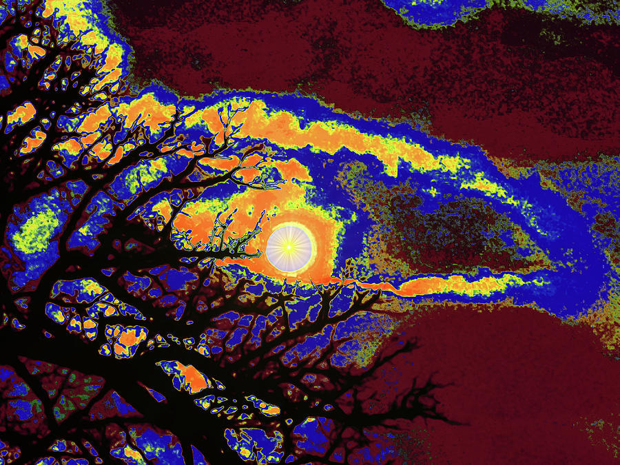 Moon Star Tree Branches Digital Art by John Enright