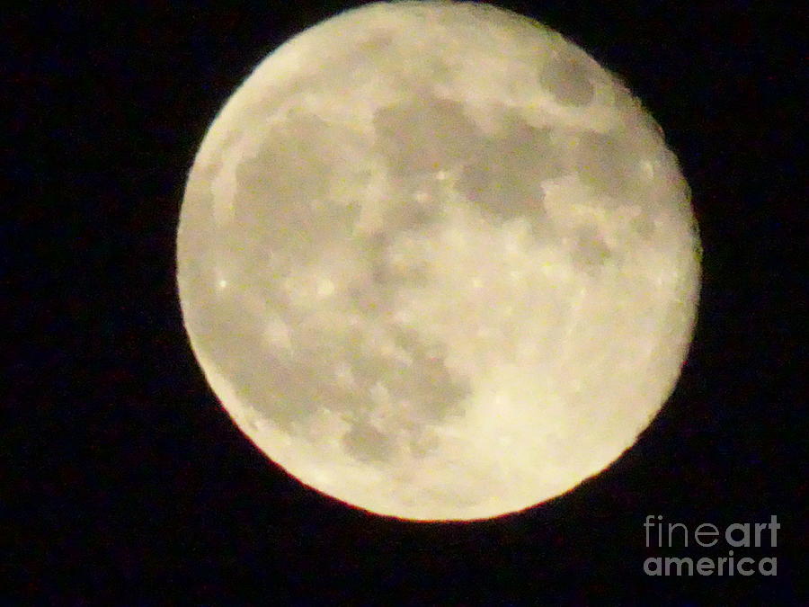 Moon Strawberry 060620 1114p Photograph