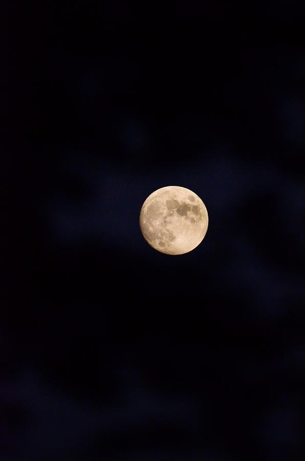 Moon Through Branches Photograph by Greg Hayhoe - Fine Art America