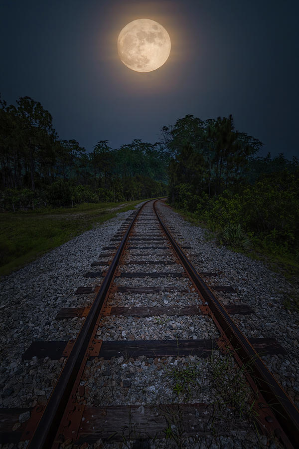 Moon Tracks Photograph by Mark Andrew Thomas
