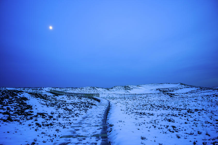 Moon Walk, Plum Island Photograph by Michael Hubley