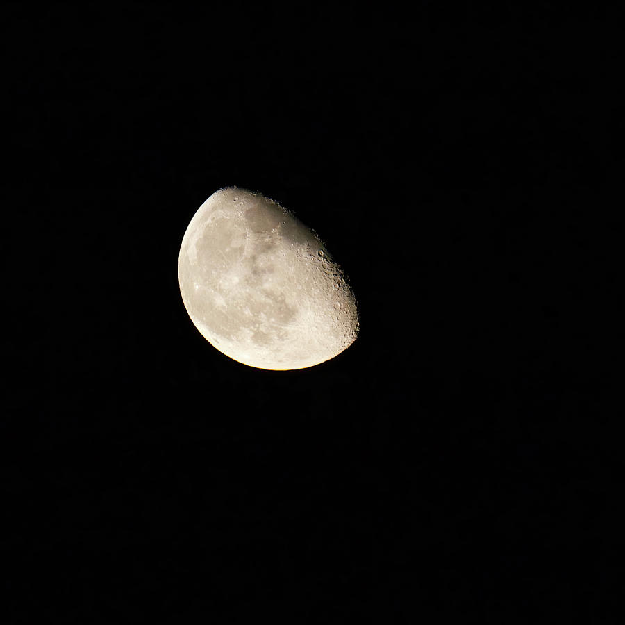 Moon Waning Gibbous 2 Photograph by Flinn Hackett