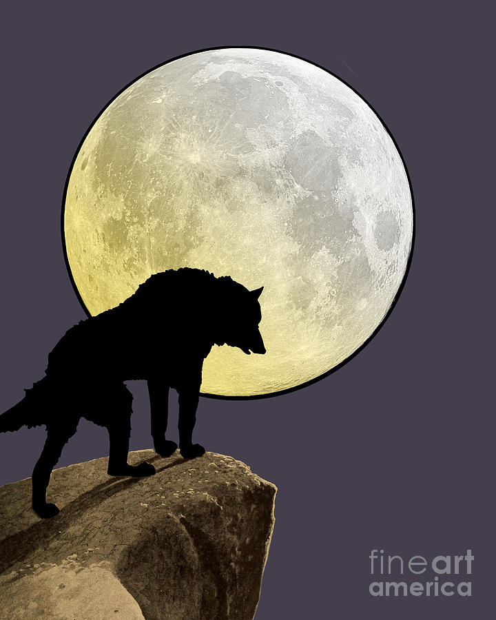 Howling Wolf Mixed Media - Moon Wolf by Madame Memento