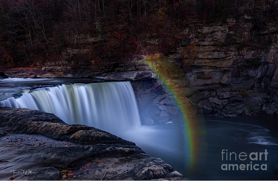 Moonbow Photograph by Theresa D Williams