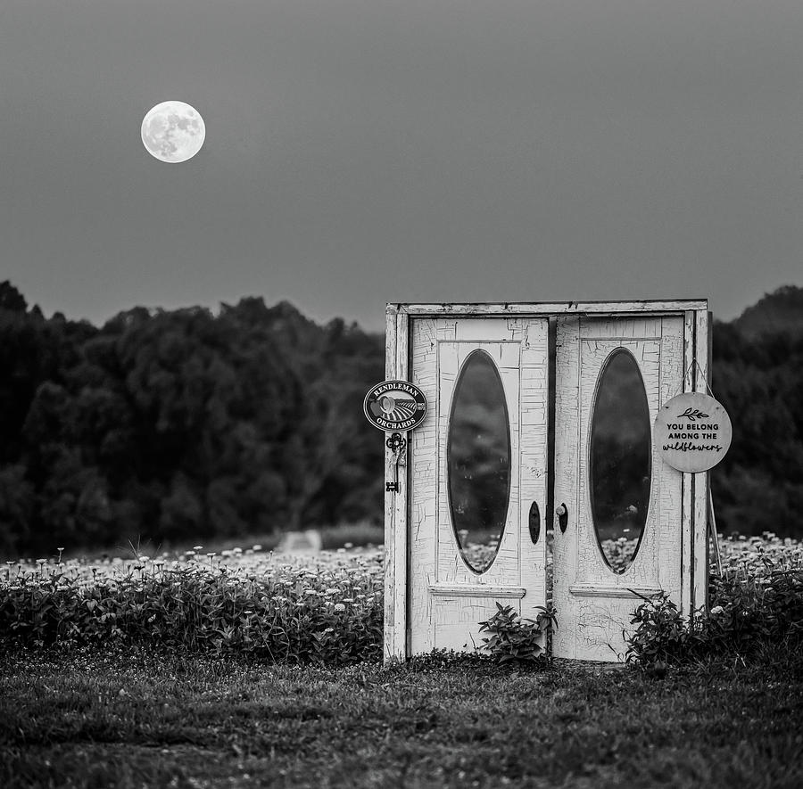 Moonflower Photograph by Grant Twiss Moonflower Photograph by Grant Twiss