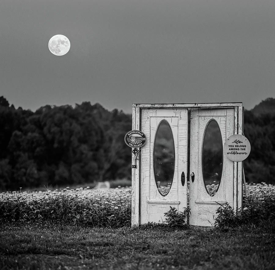 Moonflower Photograph by Grant Twiss