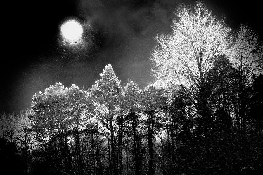 Moonglow Photograph by Gerlinde Keating