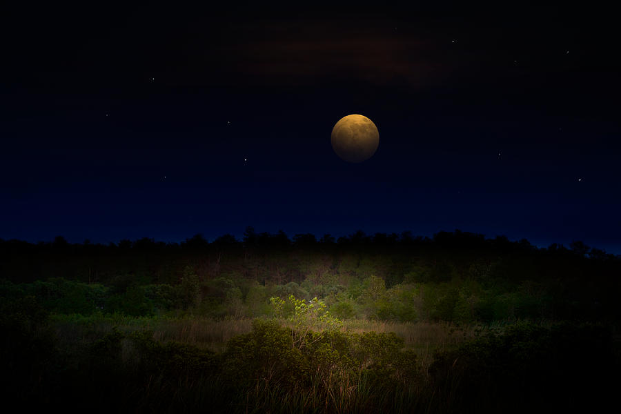 Moonglow II Photograph by Mark Andrew Thomas
