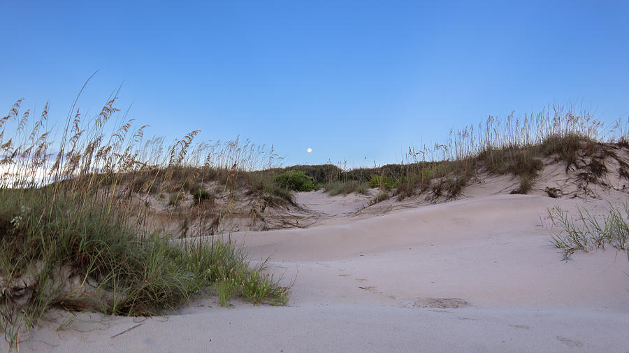 Mooning Morning Dunes Photograph by Ed Williams