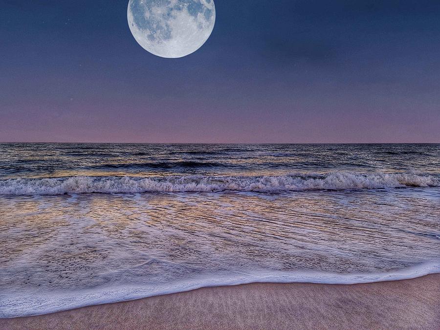 Moonlight Photograph by Barbie Burnette - Fine Art America