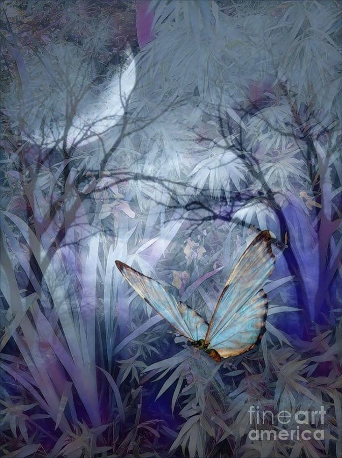 Moonlight-Butterfly Mixed Media by Susanne Baumann