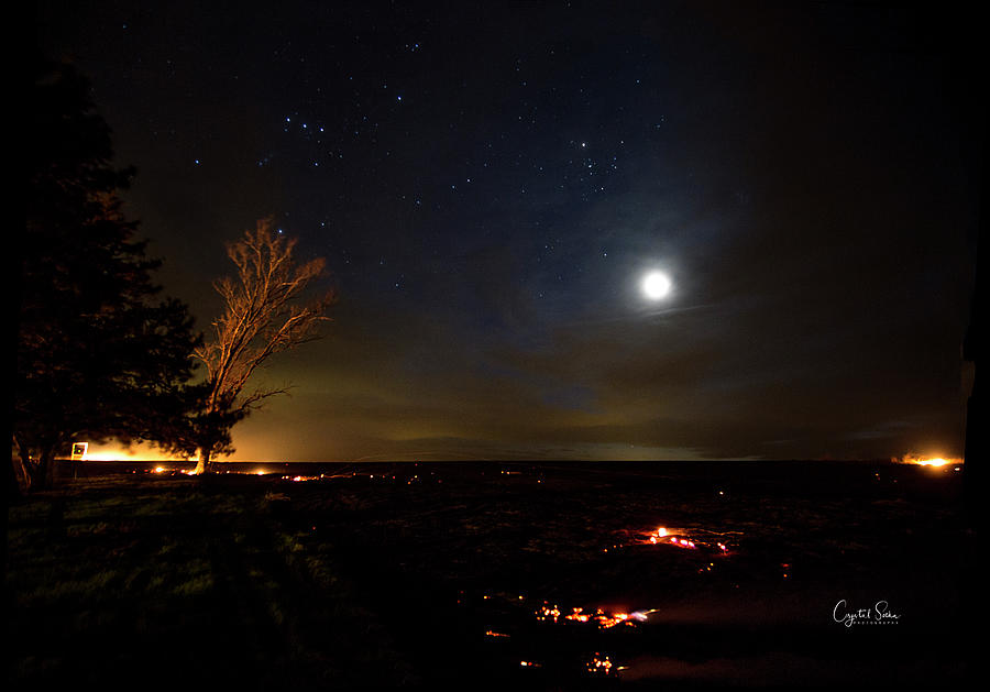 Moonlight Glow Photograph by Crystal Socha