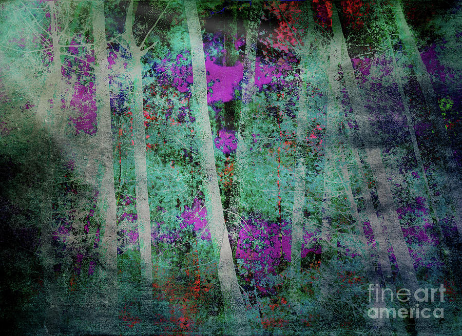 MOONLIGHT in the MAGIC FOREST Digital Art by Mimulux Patricia No