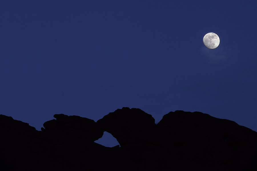 Moonlight Kiss Photograph by Bob Falcone