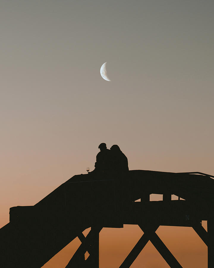 Moonlight love Photograph by Constantin Seuss