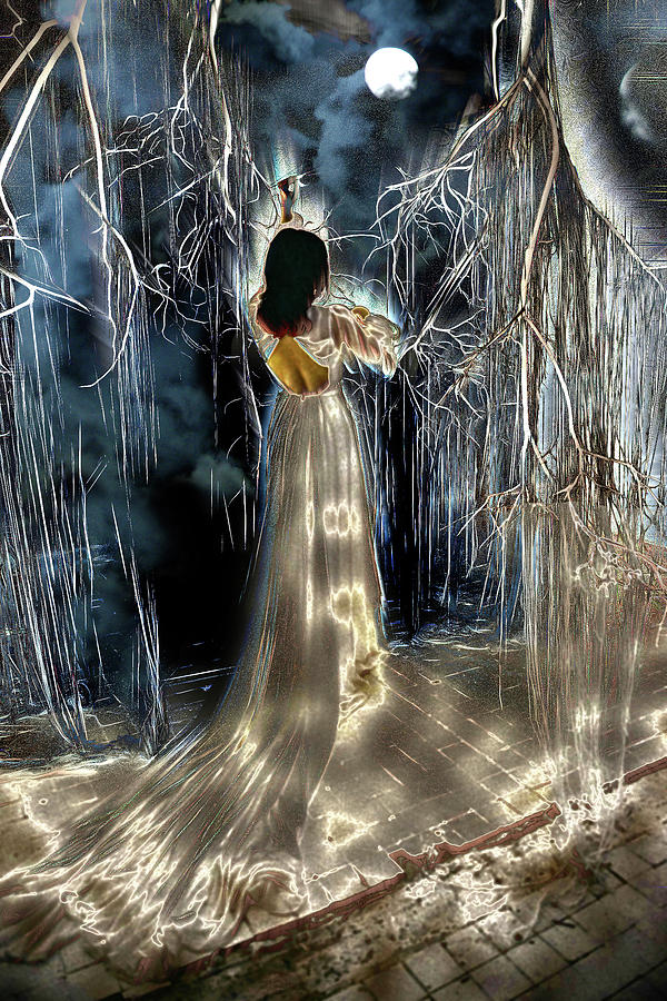 Moonlight Magic Digital Art by Lisa Yount