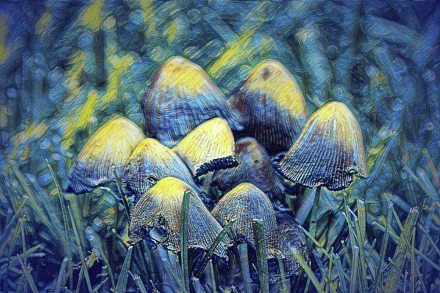 Moonlight on Mushrooms Digital Art by Gaby Ethington