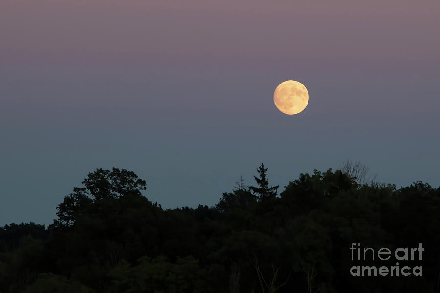 Moonlight Over Harbor Country Photograph by Christopher Purcell - Fine ...