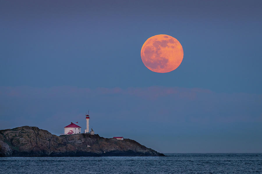 Moonlight over Lighthouse Photograph by Bill Cubitt