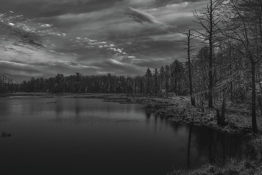 Moonlight Over Moose Pond Photograph by Bob Orsillo
