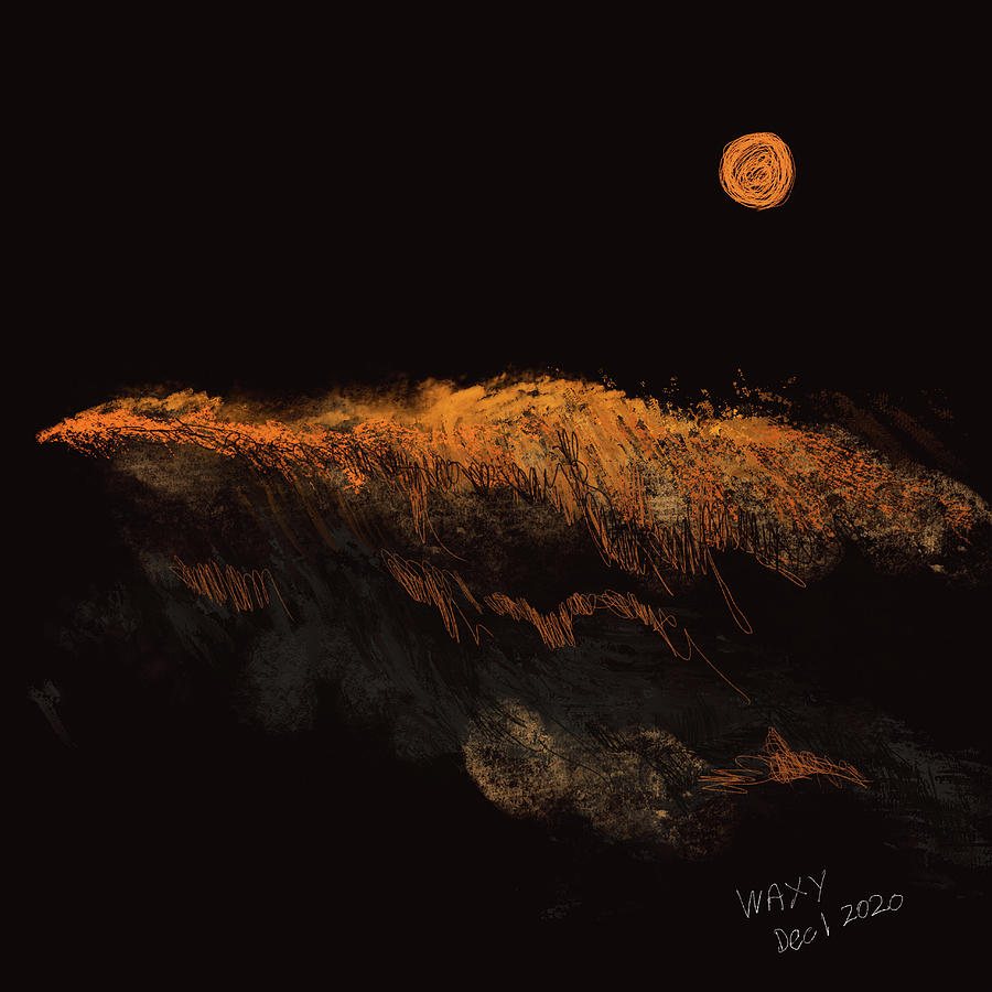 Moonlight Over The Grasslands Digital Art