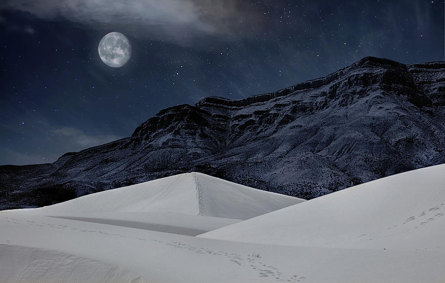 Moonlight Over White Sands Photograph by JC Findley