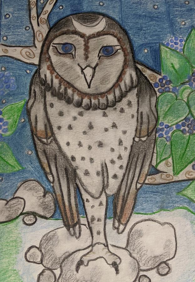 Moonlight owl Drawing by Barbara Gallagher Pixels