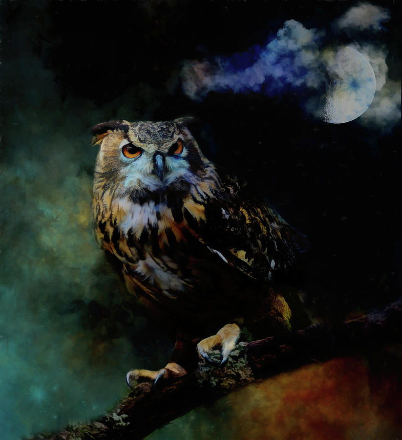 Moonlight Owl Mixed Media by Kathy Kelly