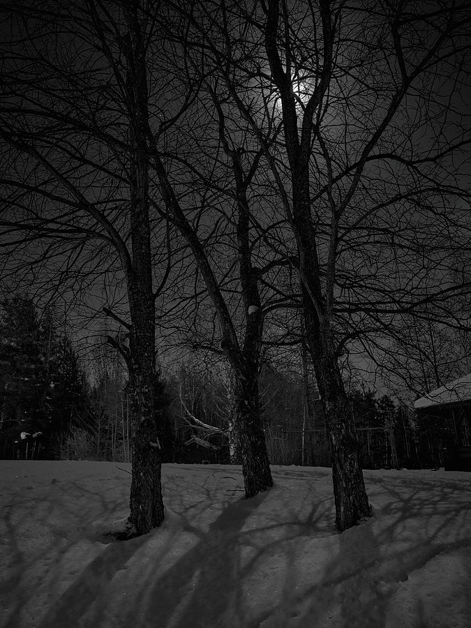 Moonlight shadows bw Photograph by Jouko Lehto