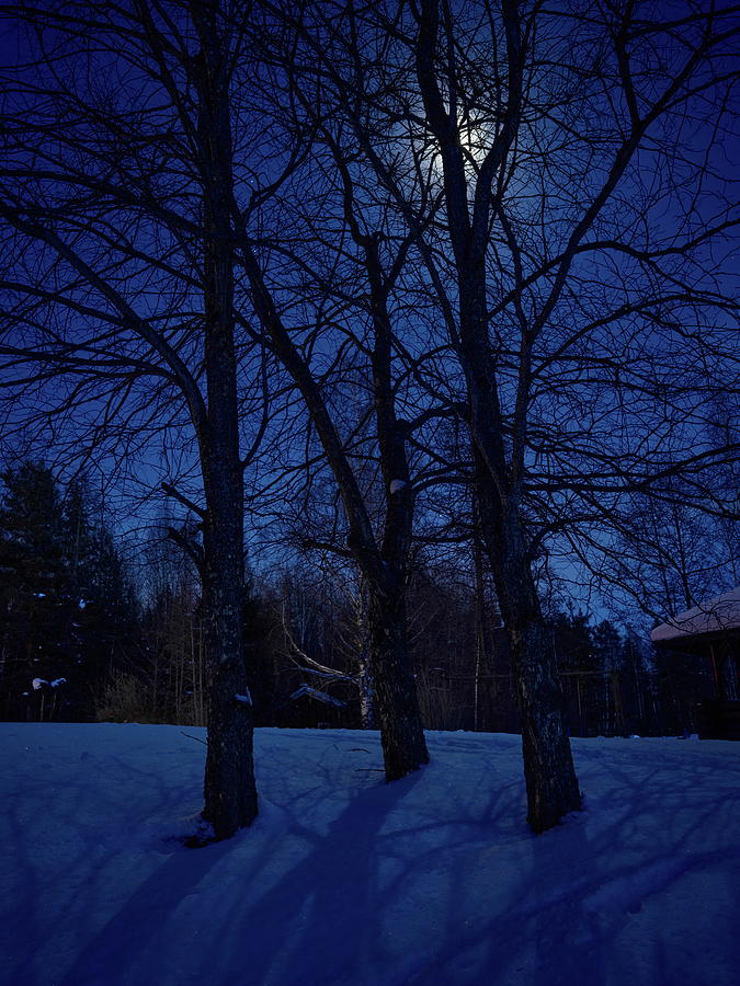 Moonlight shadows Photograph by Jouko Lehto