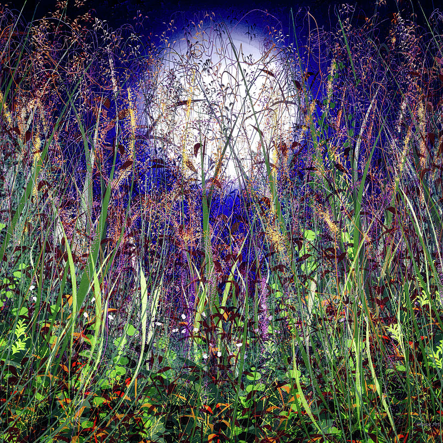 Moonlight Shadows Over Honey Meadow Flowers Painting by OLena Art