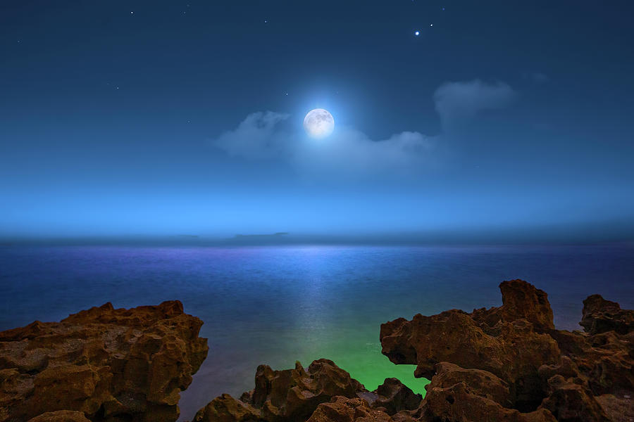Moonlight Shores Photograph by Mark Andrew Thomas