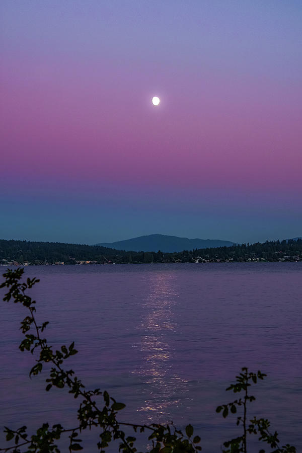 Moonlight Sonata Photograph by Emerita Wheeling