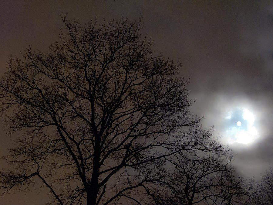Moonlight Sonata Photograph by Stephen Buckman - Pixels