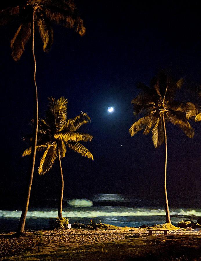 Moonlight Starlight Photograph by Lori Seaman