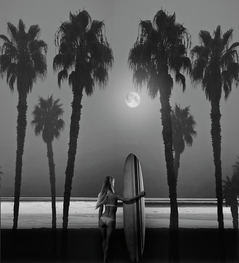Moonlight Surfing Paradise Photograph