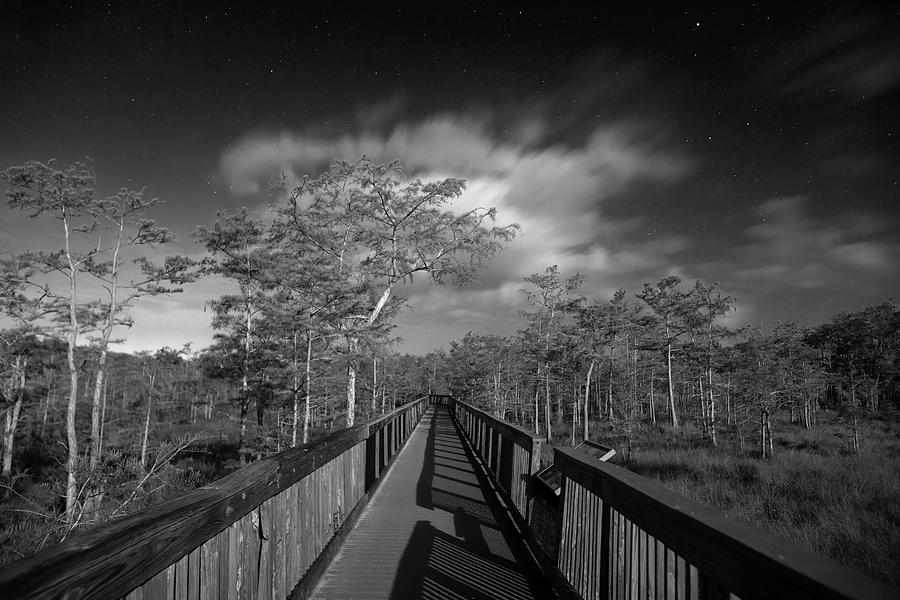 Moonlight Trail Photograph by Mark Andrew Thomas