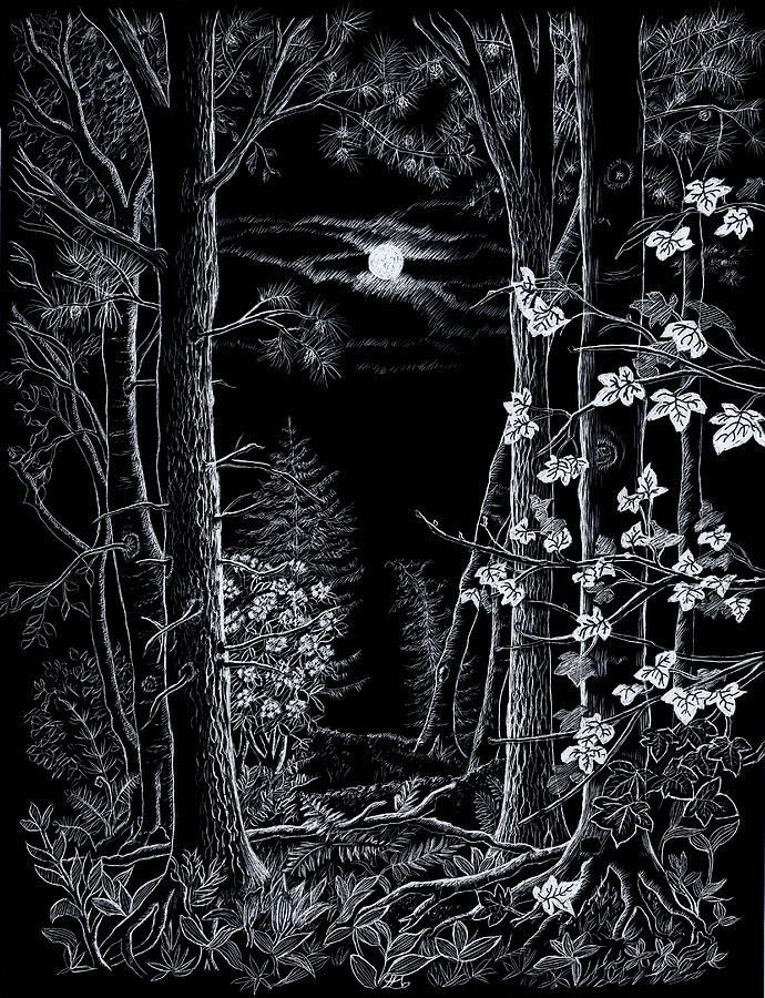 Moonlight Woodland Drawing by Lynne Henderson