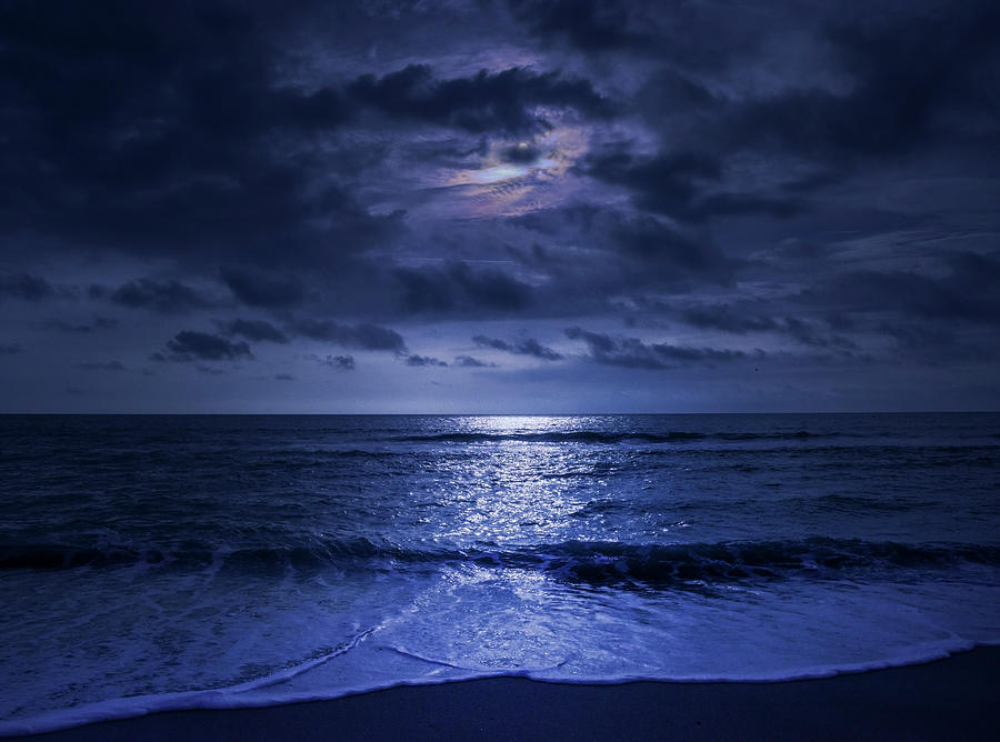 Beach Photograph - Moonlit Bay by Morris McClung