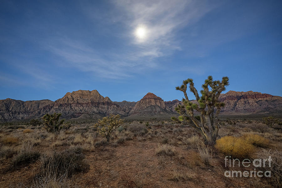 Las Vegas Photograph - Moonlit Desert  by Michael Ver Sprill